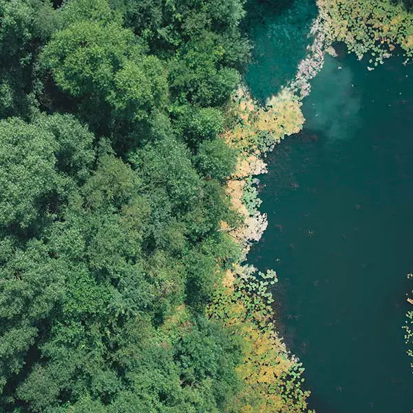 Industries key benefits environmental research wetland