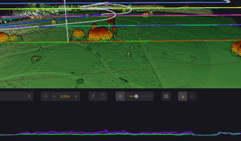 Slice depicting vegetation structure before and after the prescribed burn
