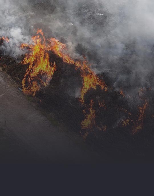 Ys-cloudstation-viewer-image-disaster