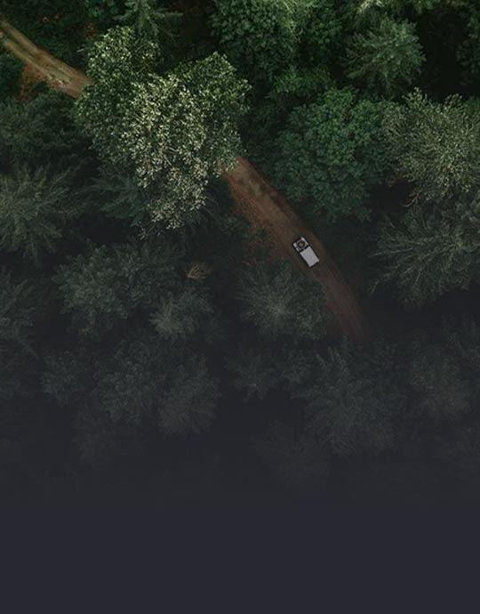 Ys-cloudstation-viewer-image-forestry