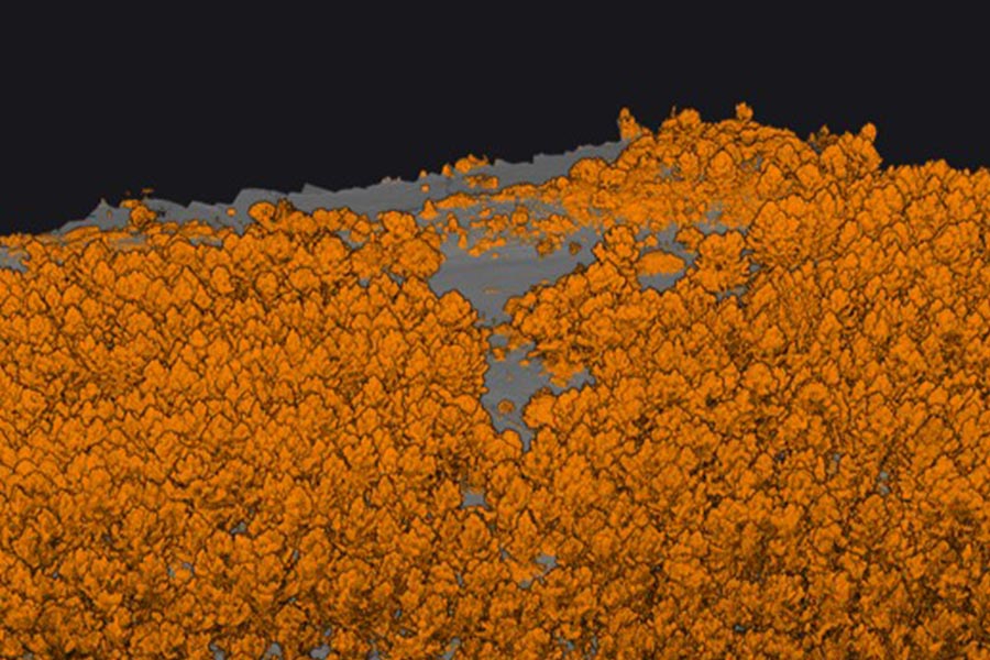 Mapper ultra pointcloud 01